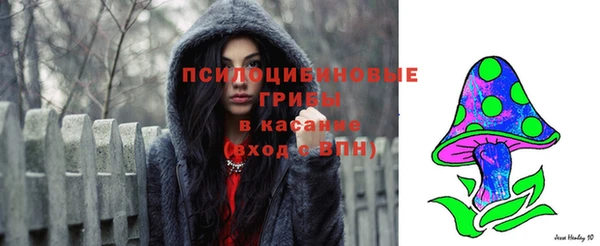 ГАЛЛЮЦИНОГЕННЫЕ ГРИБЫ Алексин
