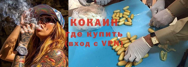 ГАЛЛЮЦИНОГЕННЫЕ ГРИБЫ Алексин