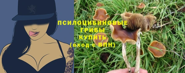 ГАЛЛЮЦИНОГЕННЫЕ ГРИБЫ Алексин